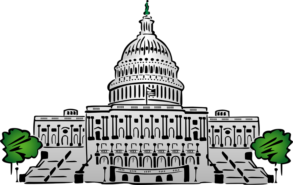 drawing of a government structure