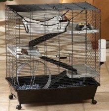 cage 