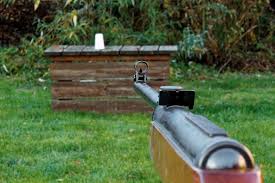 air gun