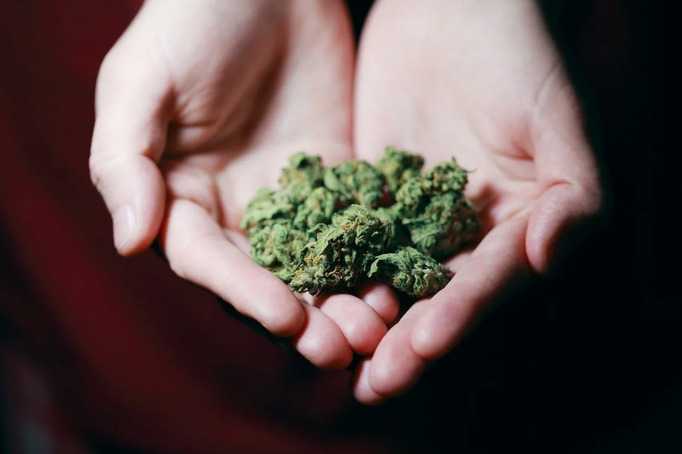 weed